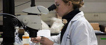 Scientist wearing a lab coat looks into microscope