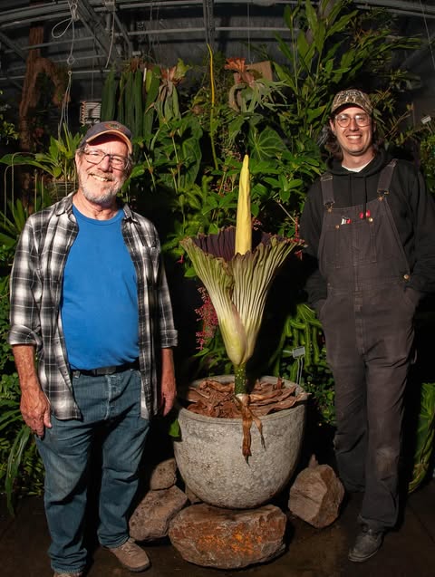 two people smiling with a corpse flower