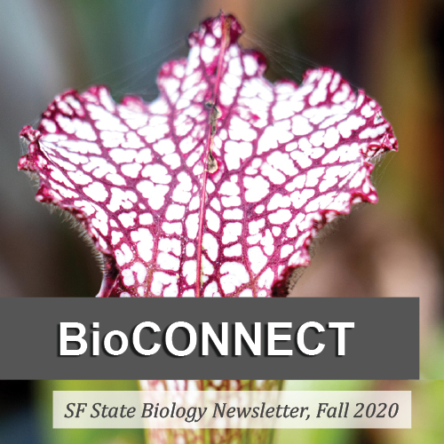 BioConnect Newsletter 2020