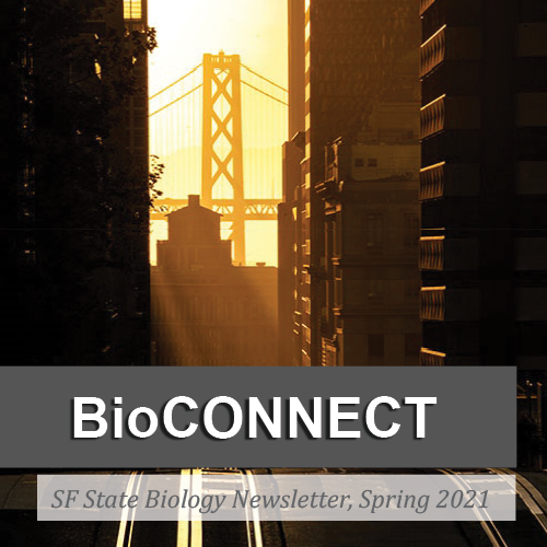 BioConnect Newsletter 2021