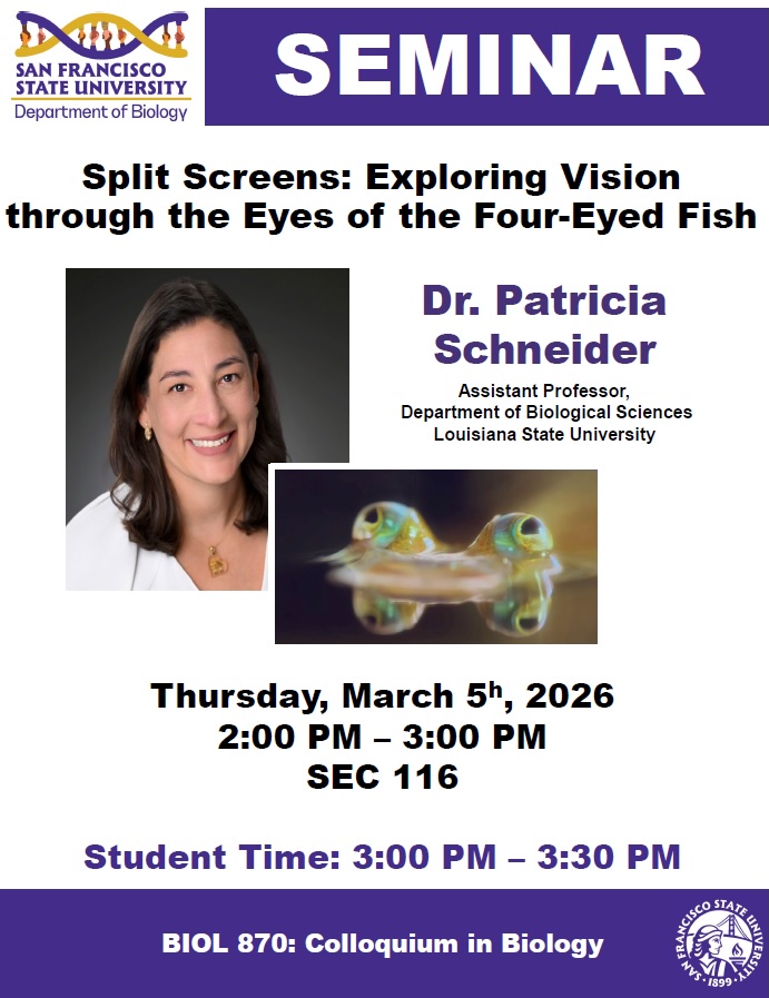 seminar flyer for Patricia Schneider