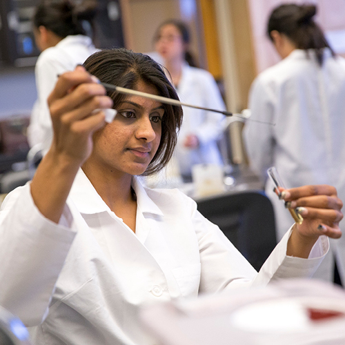 SF State student looking at a petri dish in a science lab.