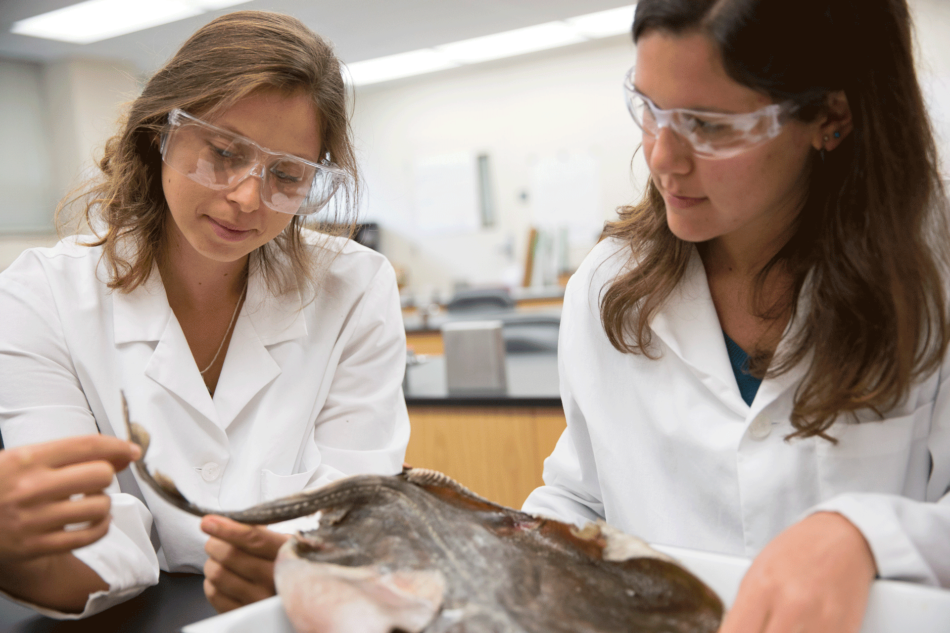 marine biology research studies