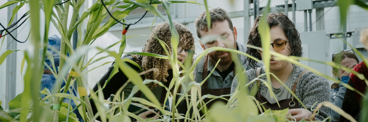 grad studies_botany