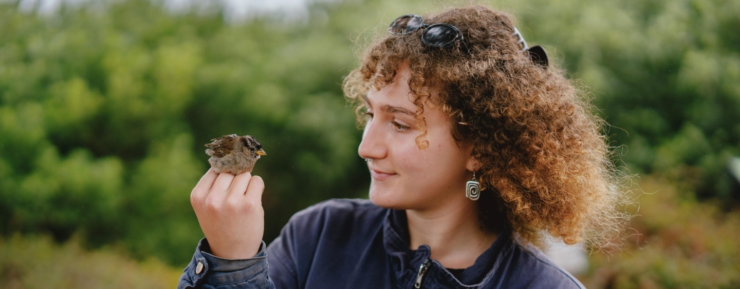 woman holding and looking at bird in nature