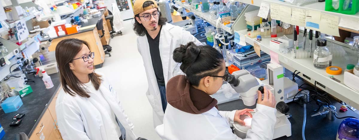Two students talking to a third student sitting at a microscope