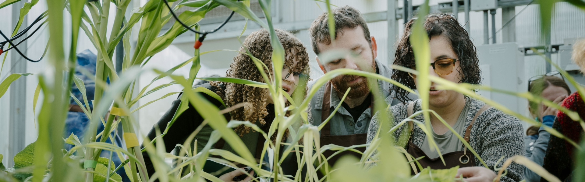 grad studies_botany