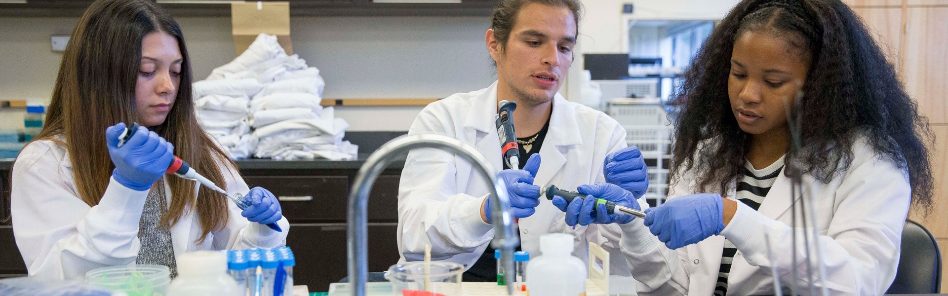 montage of students conducting research