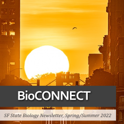 Cover of BioCONNECT newsletter