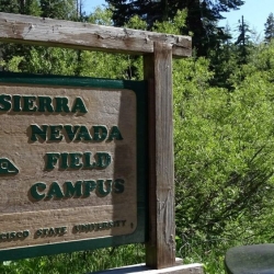 Sierra Nevada Field Campus Sign