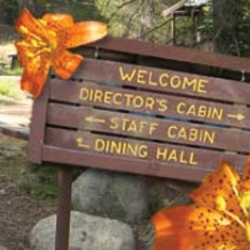 Wooden sign with arrows guiding visits where to go.