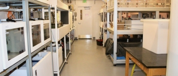 SW room