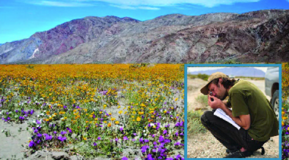Isaac desert crop 